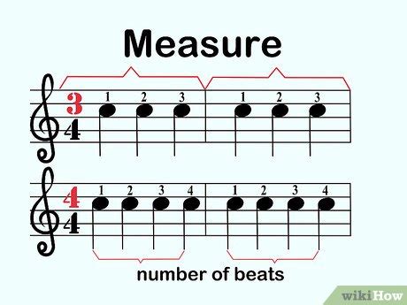 How to Count Music Beats and Why Bananas Might Be the Secret to Perfect Timing