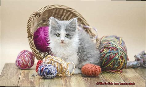 What Fabric is Best for Embroidery and Why Do Cats Love Yarn?